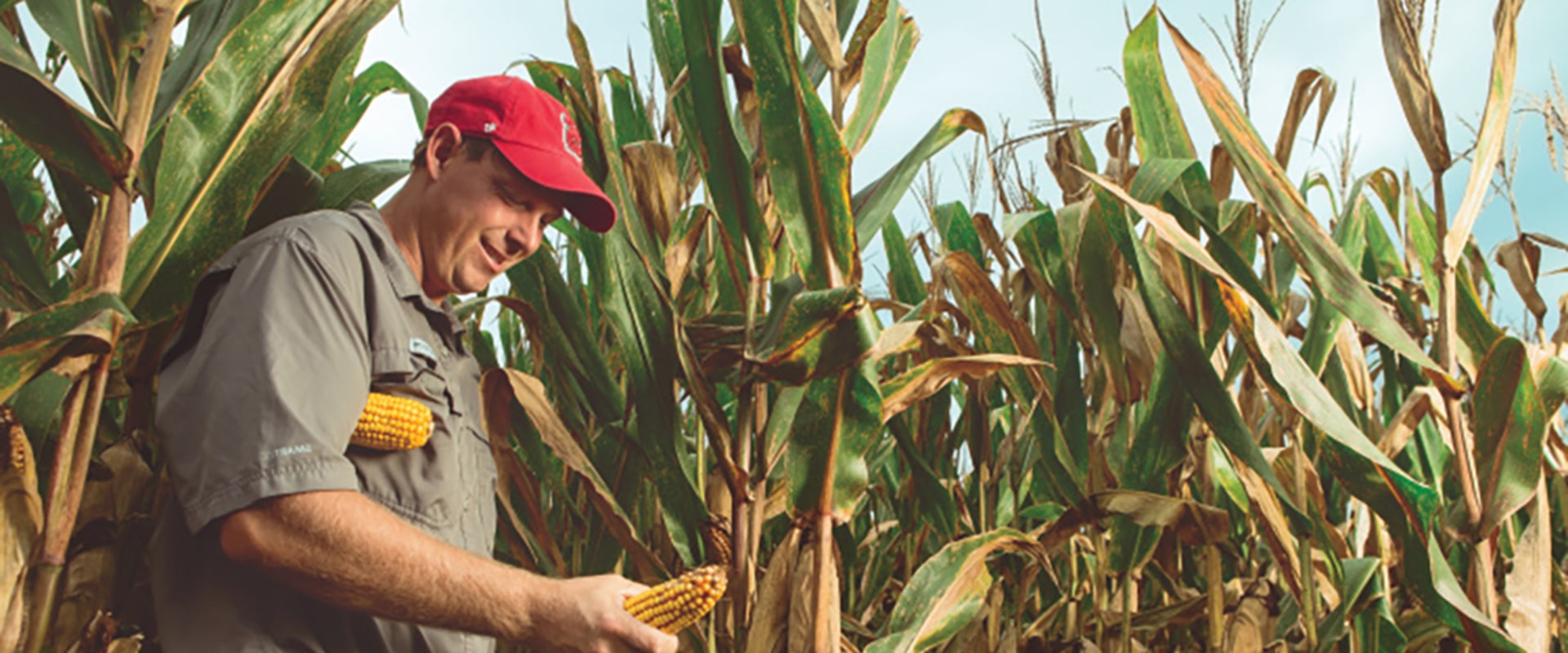 The Impact of Pesticides and Fertilizers on Natural Resources in Currituck County, NC