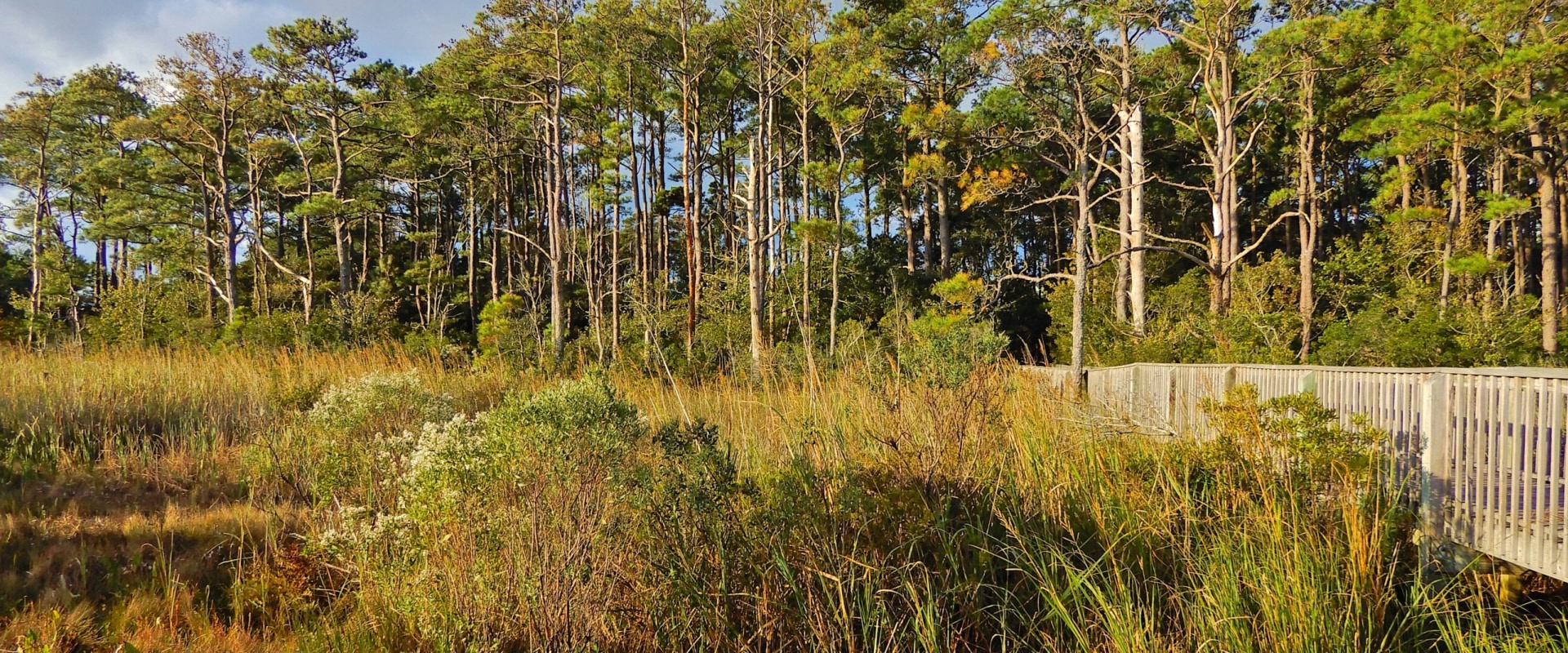 Exploring the Rich History of Natural Resource Extraction in Currituck County, NC