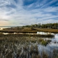 The Vital Role of Wetlands in Preserving Natural Resources in Currituck County, NC