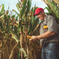 The Impact of Pesticides and Fertilizers on Natural Resources in Currituck County, NC