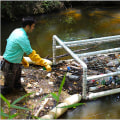 The Current State of Water Quality in Currituck County, NC's Rivers and Streams