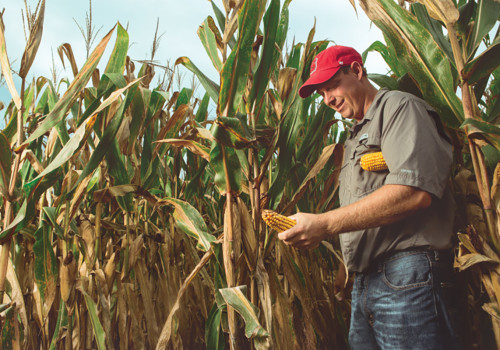 The Impact of Pesticides and Fertilizers on Natural Resources in Currituck County, NC