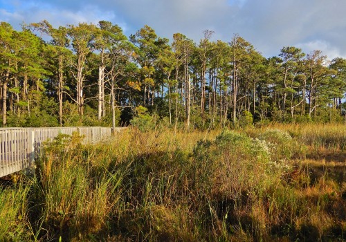 Exploring the Rich History of Natural Resource Extraction in Currituck County, NC