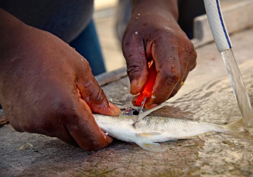 The Vital Role of Fishing and Seafood in Currituck County, NC's Economy